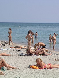 the nude beach