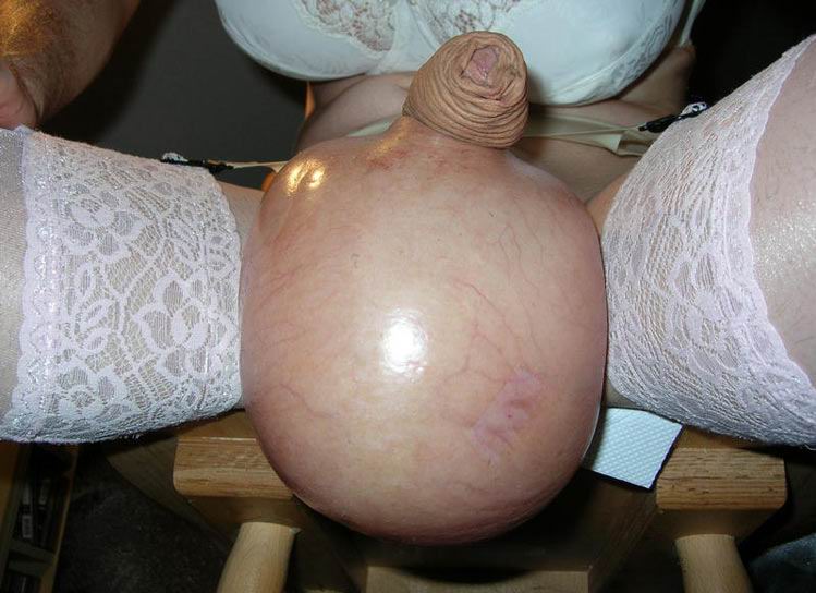 749px x 544px - Weird Porn Pics -most bizarre sex site on the web!